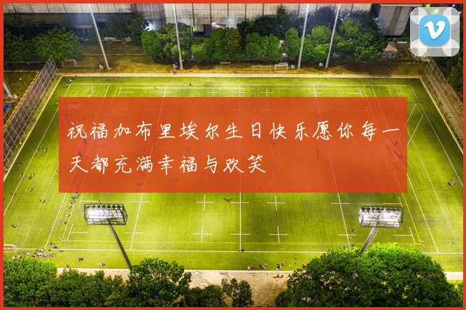 祝福加布里埃尔生日快乐愿你每一天都充满幸福与欢笑