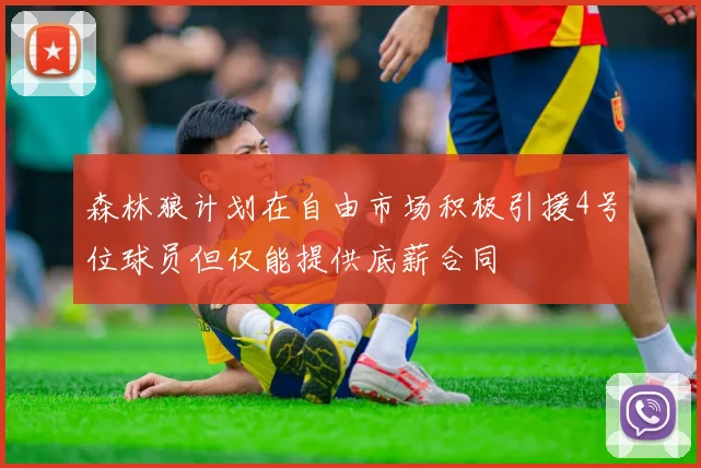 森林狼计划在自由市场积极引援4号位球员但仅能提供底薪合同