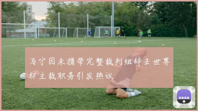 马宁因未携带完整裁判组辞去世界杯主裁职务引发热议